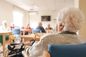 the back of an elderly woman in a wheelchair